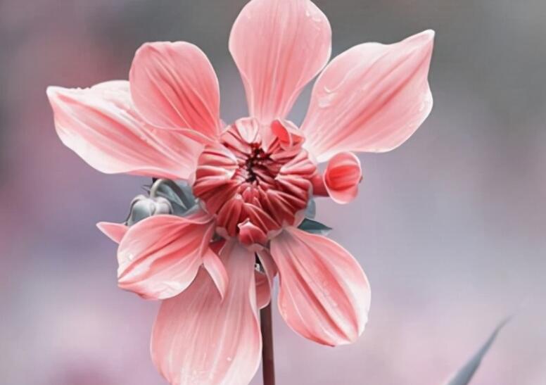 励志又甜美的话