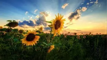 2024励志短句学生