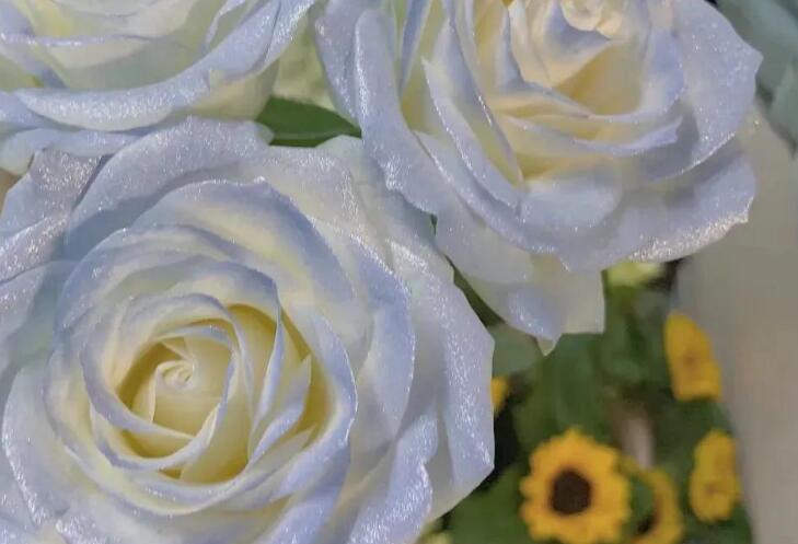 形容鲜花的浪漫的句子文案