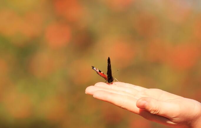 一定要给对象说的情话文案