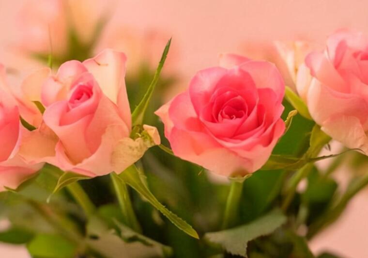 感情受伤的句子文案说说心情