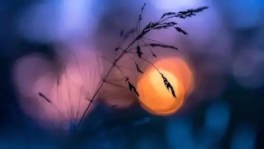 表示一个人气量小的句子文案