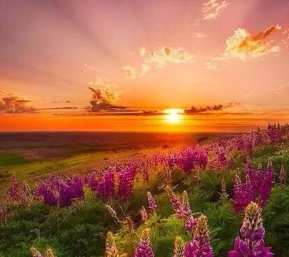 励志清晨心语正能量