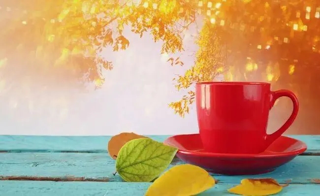 冬天温暖人心的句子文案