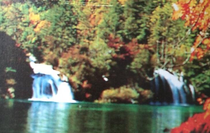 关于生态环保的诗句文案