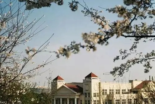 校园风景美的简短句子文案