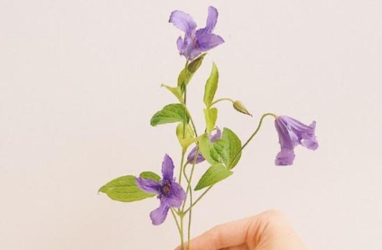 微信朋友圈心情好的句子文案