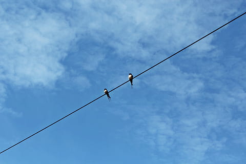 让女人最动心的情话文案