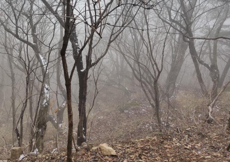 古风文案描写风景的段落摘抄