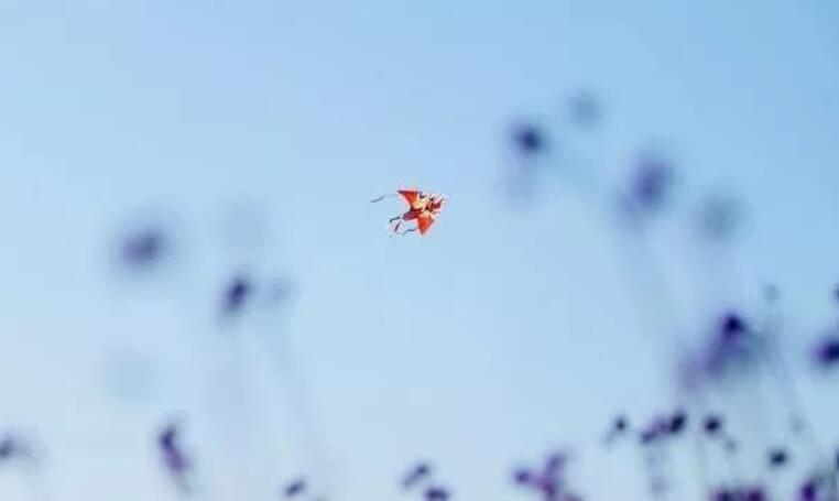 友情幽默的怼人句子文案