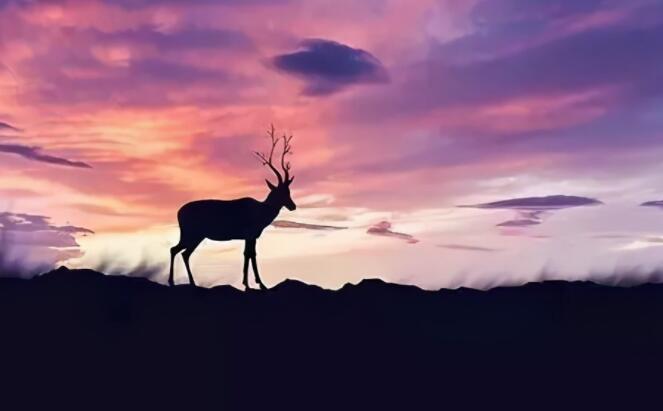 励志的经典语录文案