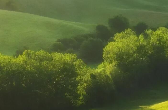 适合中学生摘抄的句子文案有修辞