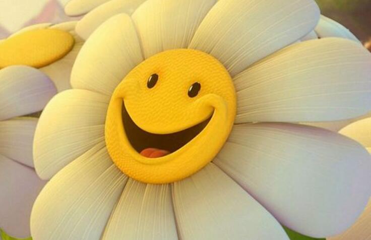 2024年早安正能量短语句文案