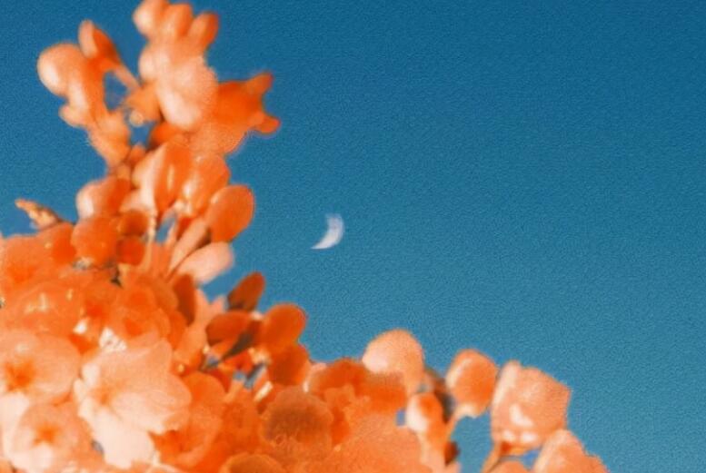 人生哲理优美文字句子文案