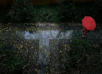 下雨踩水坑的唯美句子文案