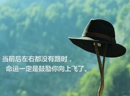 勤奋正能量的句子文案经典语句