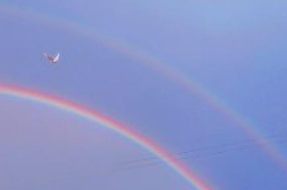 妻子送老公生日祝福语