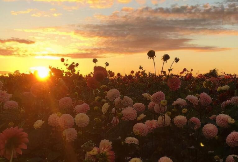 恋爱的早安问候语