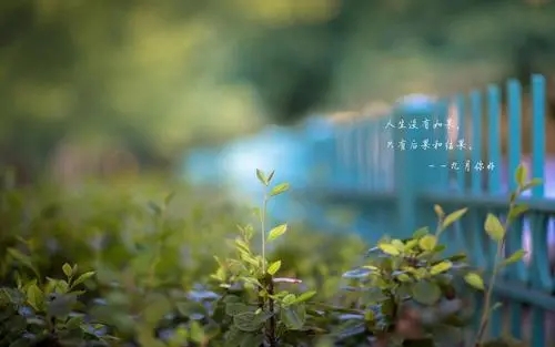 九月说说文案短句