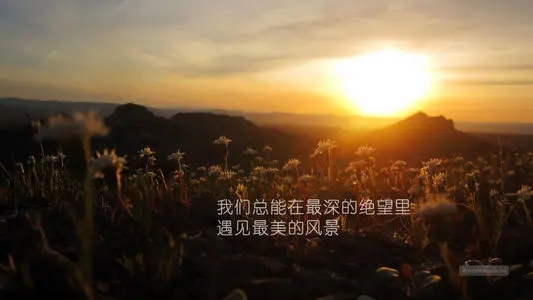 关于自强的精辟句子文案