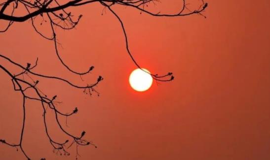 描写旅行的优美句子文案