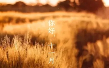 11月的说说文案
