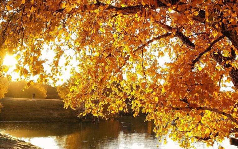 关于过客的句子文案唯美