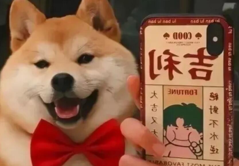 文案长句无关爱情