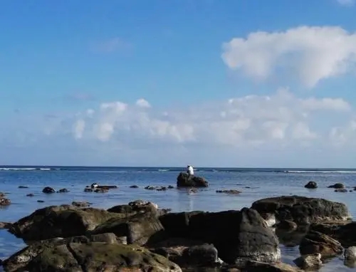 适合发在海边的句子文案