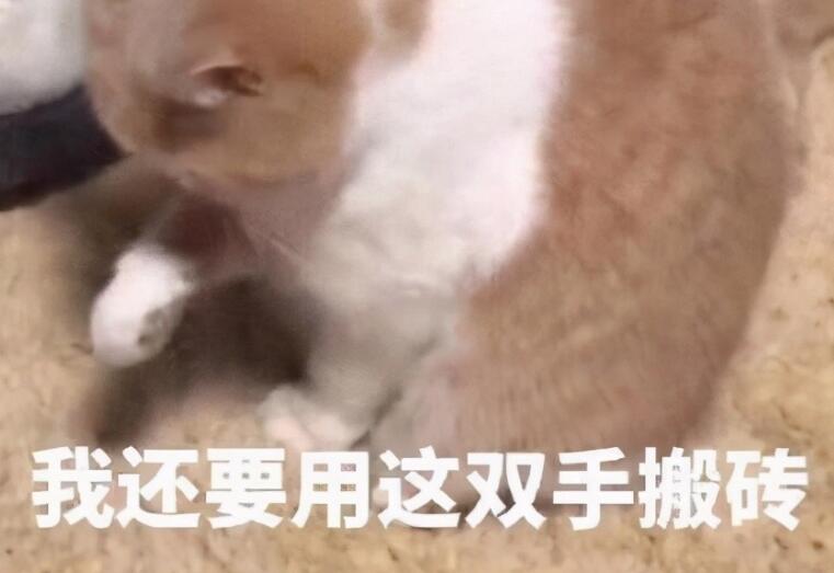 形容五一都放假只有自己不放假的句子文案