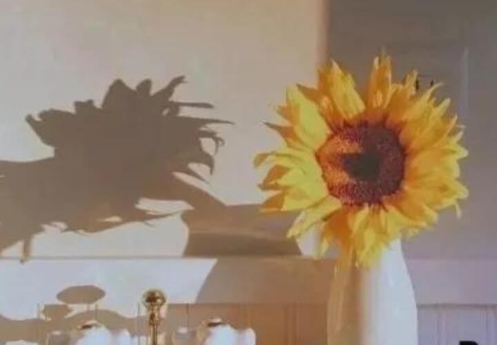 六年级好词好句文案