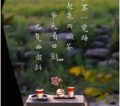 有关茶的诗句文案