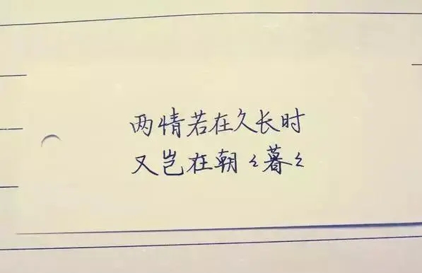 暖心认错情话文案