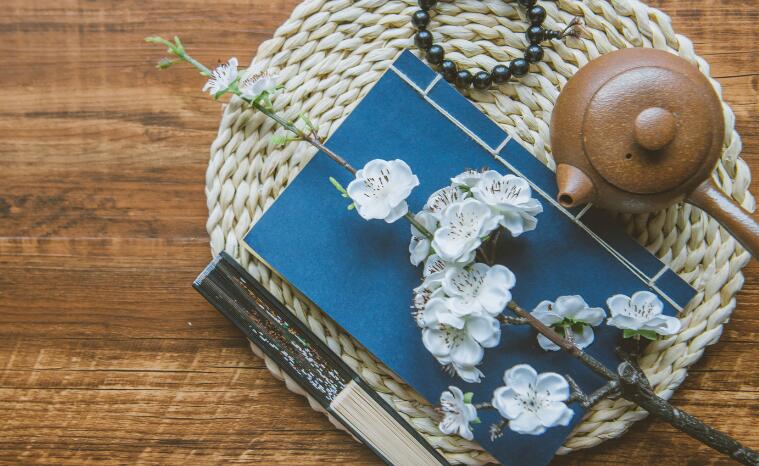 名书名句文案摘抄带书名和作者