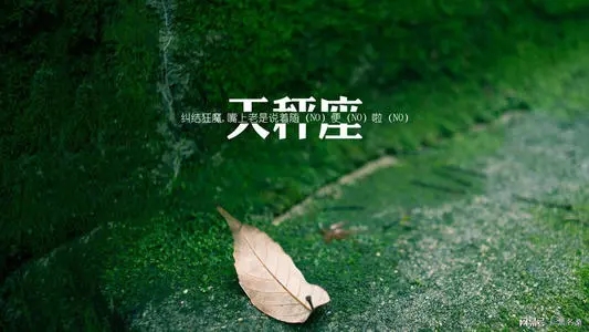 关于天秤座霸气的句子文案