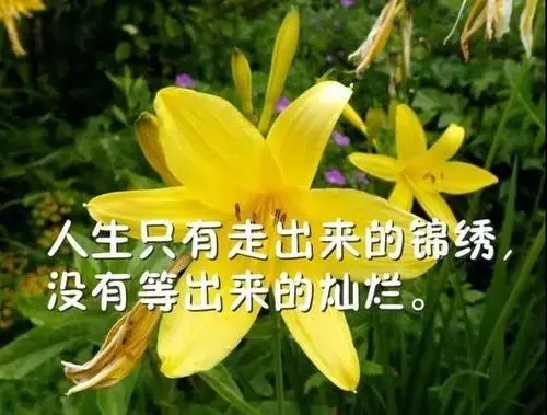 新的一天开始奋斗说说文案