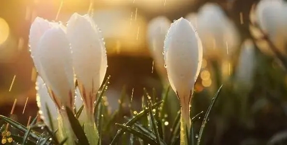 煽情清新励志小短句