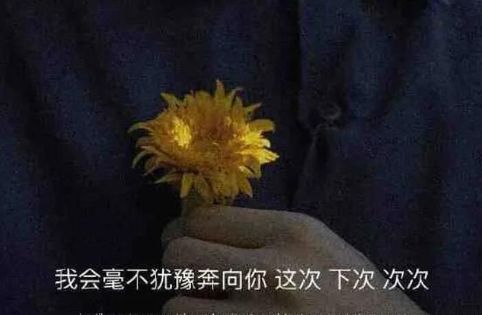 名人情话经典语录文案短句