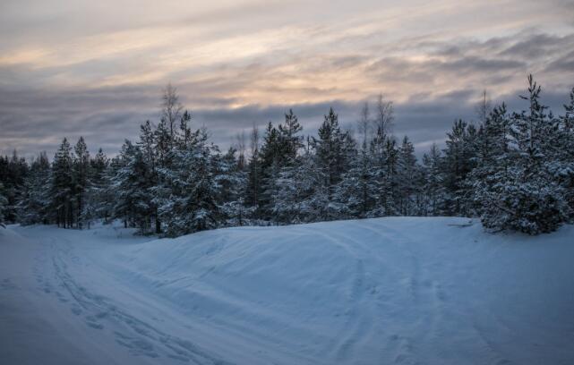 关于11月份的古诗