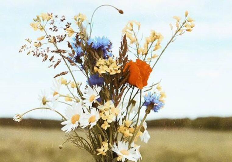 安慰自己的朋友圈