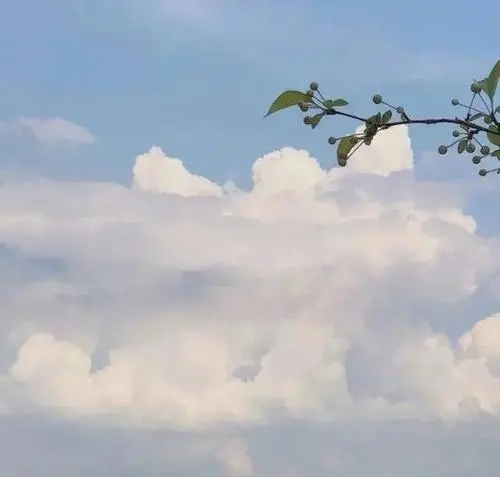 拍到好看的云的文案