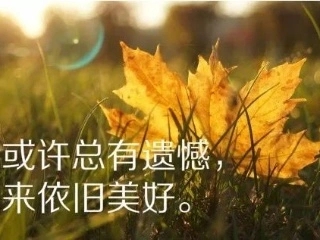 老年人发朋友圈的短句