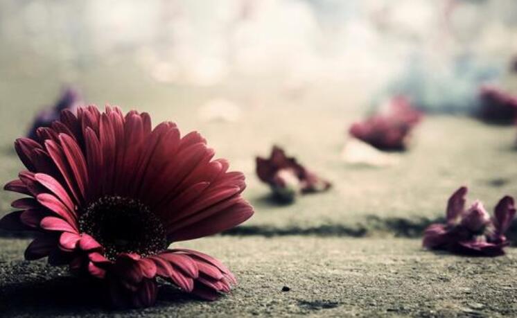 比喻有些人无情的语句文案