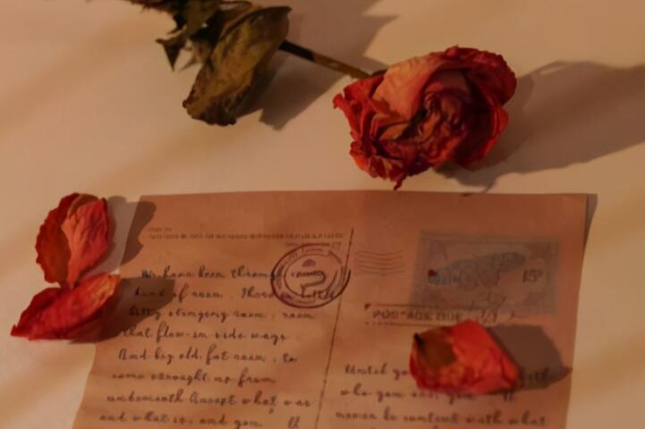 看透社会人情的句子文案