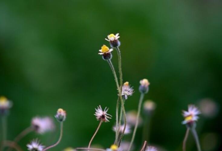 魅力女人励志的经典语录文案