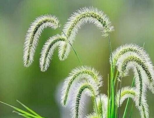 送给好友的早安短句