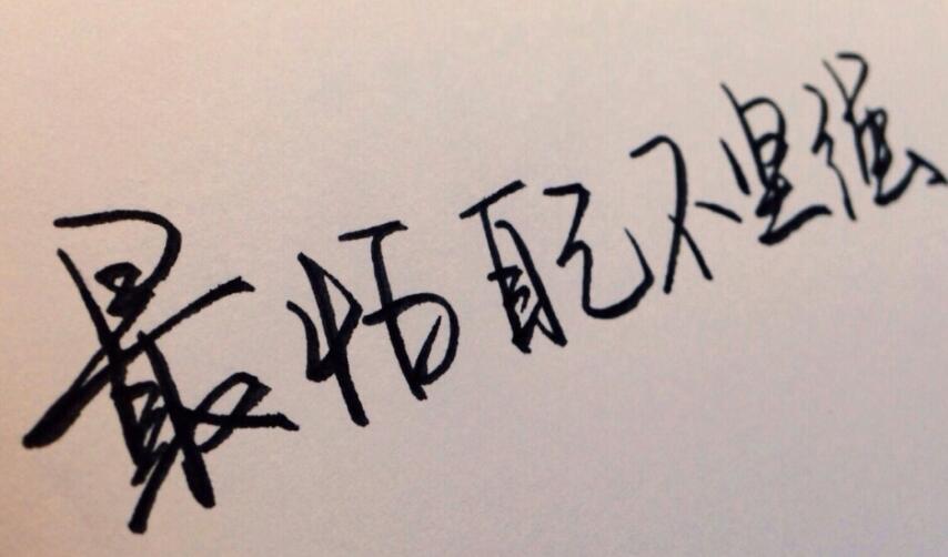 摘抄10个好句子文案