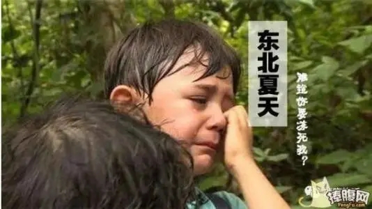 冻死在春天的搞笑句子文案