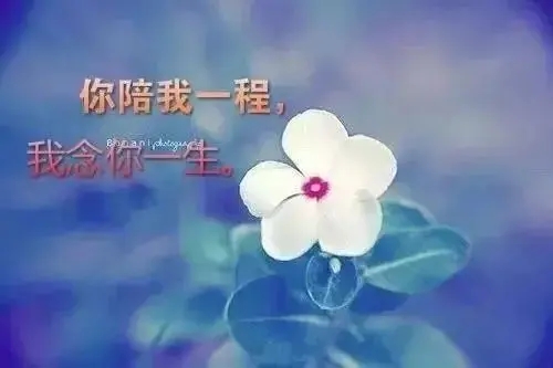 2021结束的句子文案