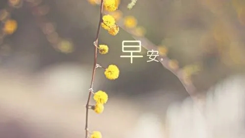 致敬爱情的早安句子文案